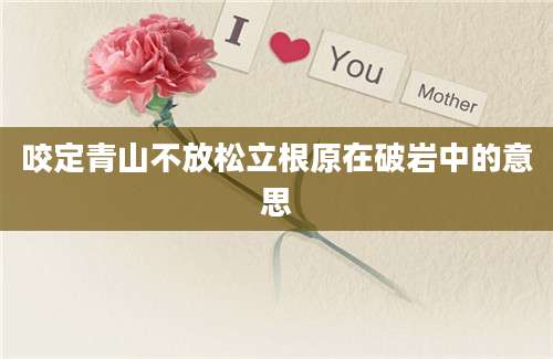 咬定青山不放松立根原在破岩中的意思