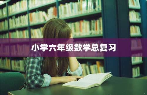 小学六年级数学总复习
