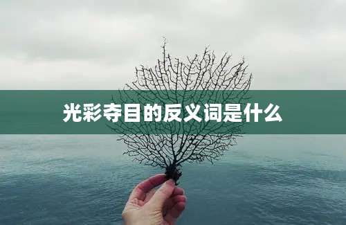 光彩夺目的反义词是什么