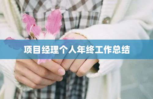 项目经理个人年终工作总结