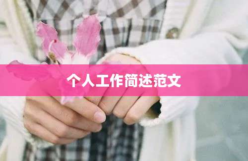 个人工作简述范文