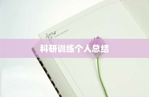 科研训练个人总结