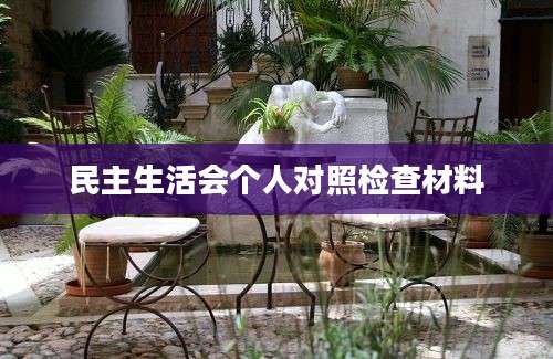 民主生活会个人对照检查材料
