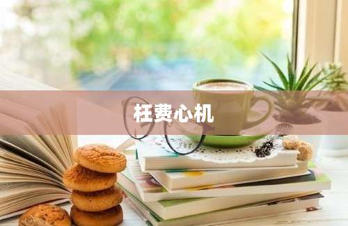 枉费心机