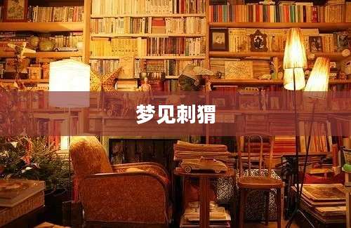 梦见刺猬