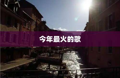 今年最火的歌