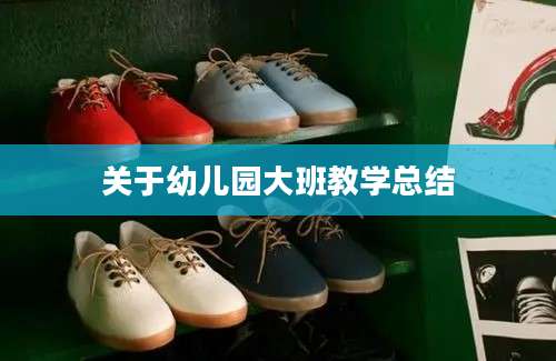 关于幼儿园大班教学总结