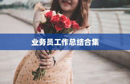 业务员工作总结合集