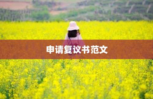 申请复议书范文