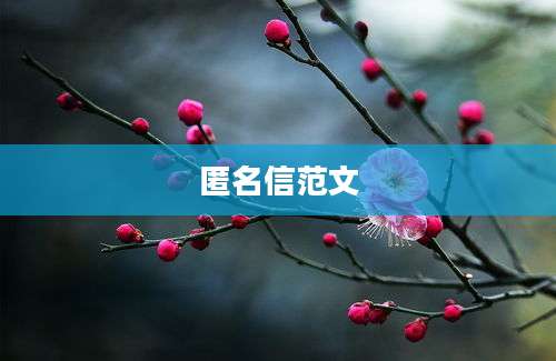 匿名信范文