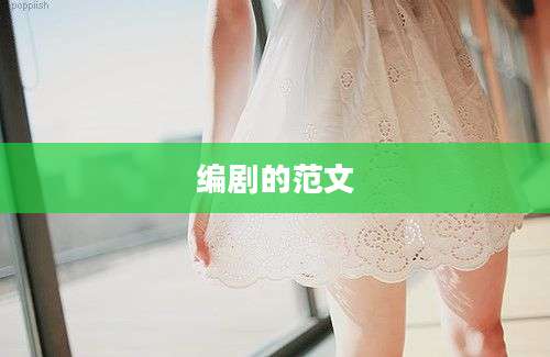 编剧的范文