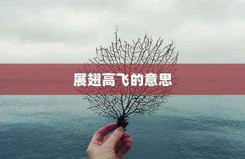 展翅高飞的意思
