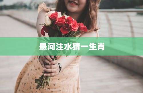 悬河注水猜一生肖
