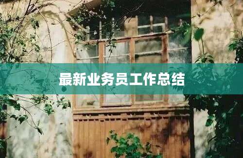 最新业务员工作总结