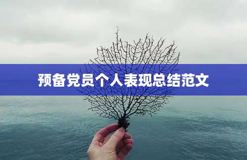 预备党员个人表现总结范文