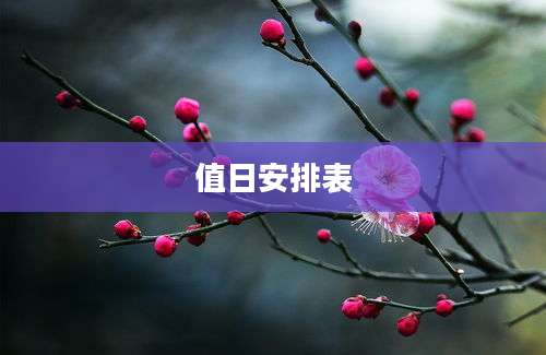 值日安排表