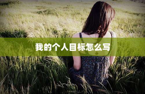 我的个人目标怎么写