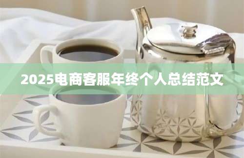 2025电商客服年终个人总结范文