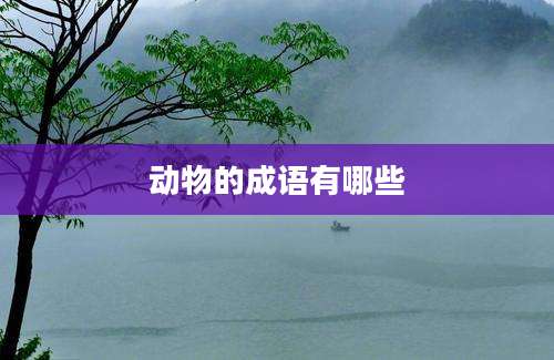 动物的成语有哪些
