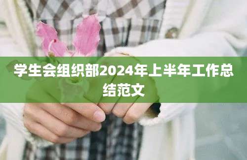 学生会组织部2024年上半年工作总结范文