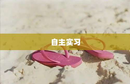 自主实习