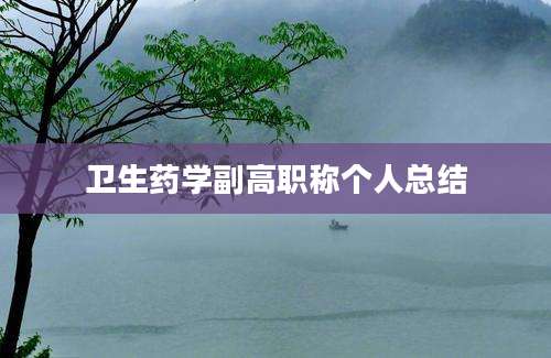 卫生药学副高职称个人总结