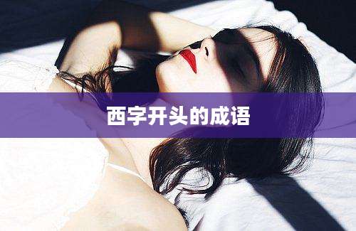 西字开头的成语