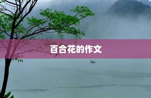 百合花的作文