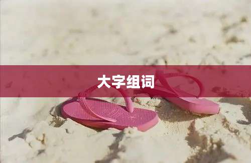 大字组词