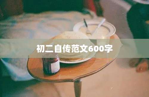 初二自传范文600字