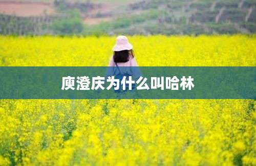 庾澄庆为什么叫哈林