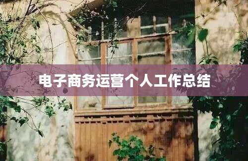 电子商务运营个人工作总结