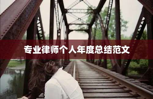 专业律师个人年度总结范文