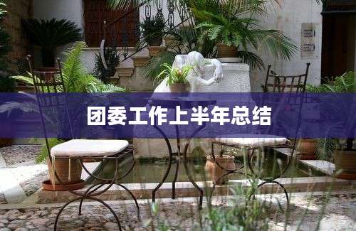 团委工作上半年总结