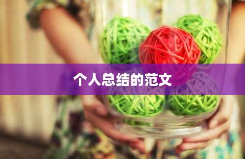 个人总结的范文
