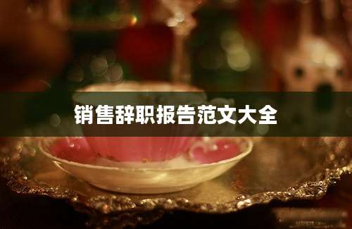 销售辞职报告范文大全