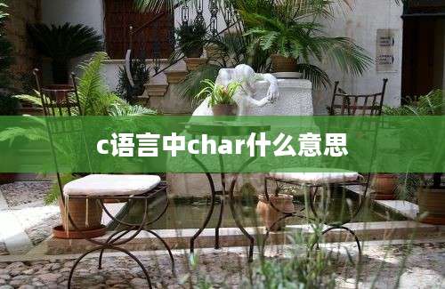 c语言中char什么意思