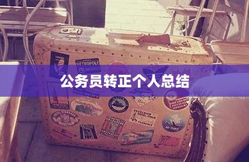 公务员转正个人总结