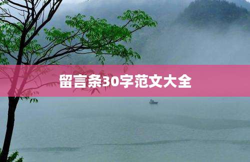 留言条30字范文大全