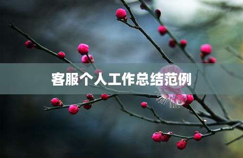 客服个人工作总结范例