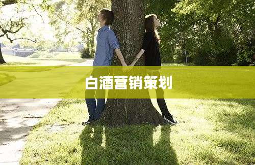 白酒营销策划