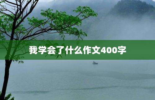 我学会了什么作文400字