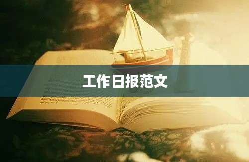 工作日报范文
