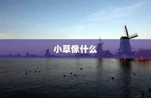 小草像什么