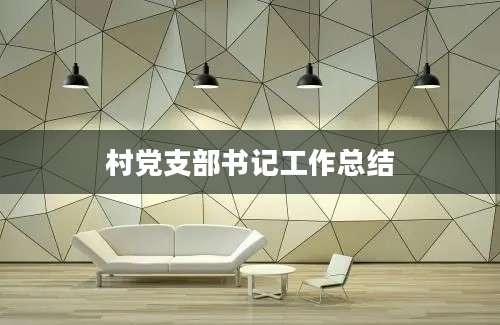 村党支部书记工作总结
