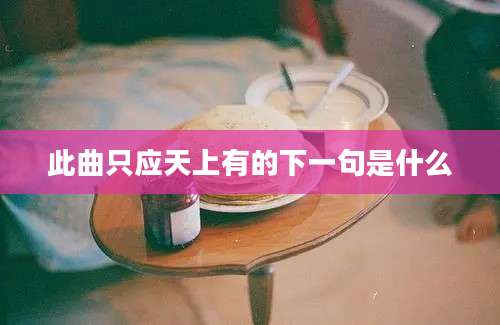 此曲只应天上有的下一句是什么