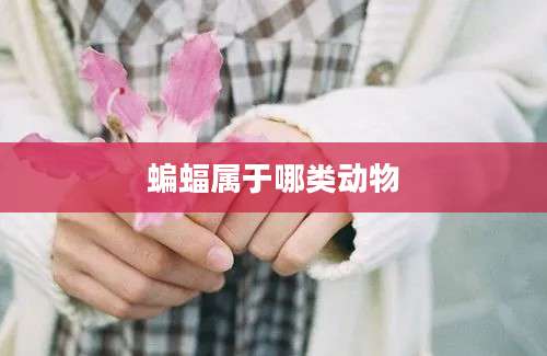 蝙蝠属于哪类动物