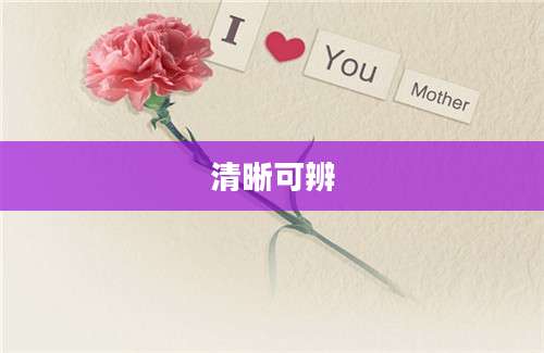 清晰可辨