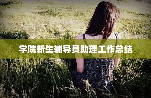 学院新生辅导员助理工作总结