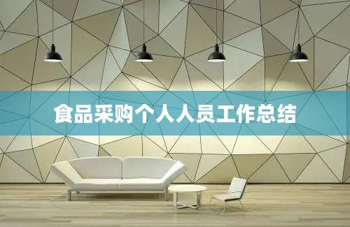 食品采购个人人员工作总结
